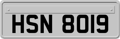 HSN8019