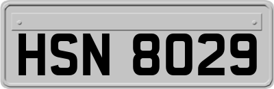 HSN8029