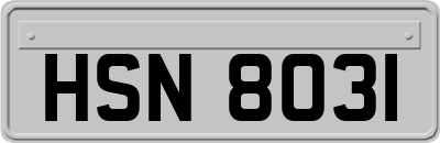 HSN8031