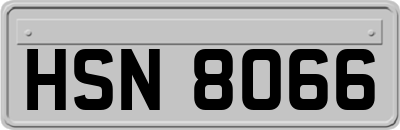 HSN8066