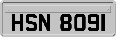 HSN8091