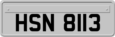 HSN8113