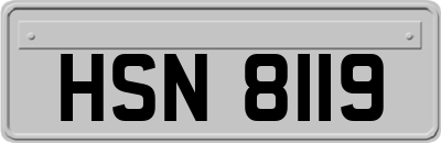 HSN8119