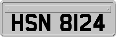 HSN8124