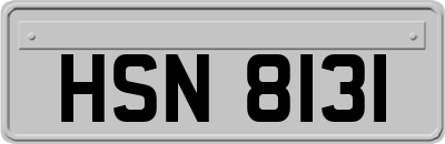 HSN8131