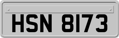 HSN8173
