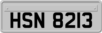HSN8213