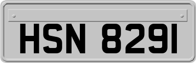HSN8291