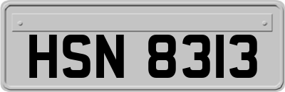 HSN8313