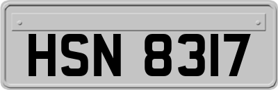 HSN8317