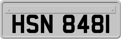 HSN8481