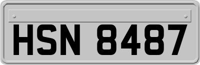 HSN8487