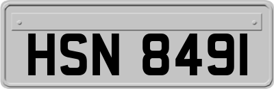 HSN8491