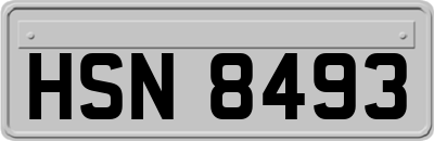 HSN8493
