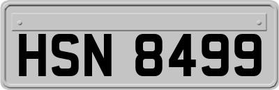 HSN8499