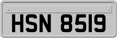 HSN8519