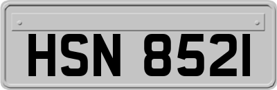 HSN8521