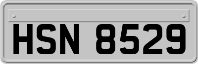 HSN8529