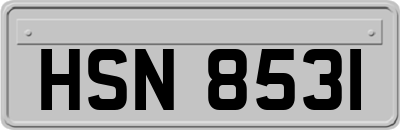 HSN8531