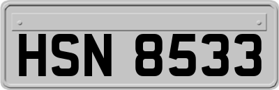 HSN8533