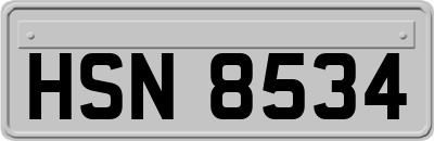 HSN8534