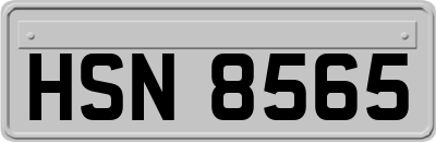 HSN8565