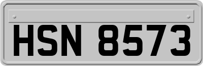 HSN8573