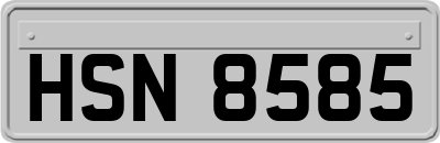 HSN8585