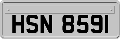 HSN8591
