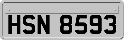 HSN8593