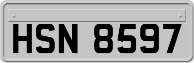 HSN8597