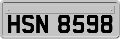 HSN8598