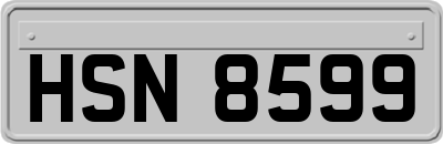 HSN8599