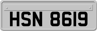 HSN8619