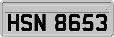 HSN8653