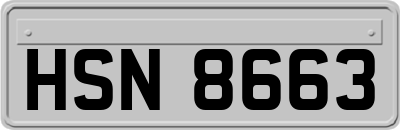 HSN8663