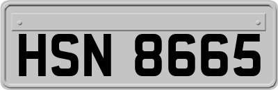 HSN8665