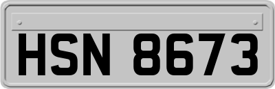 HSN8673