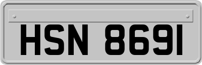 HSN8691