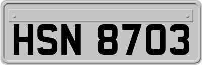 HSN8703