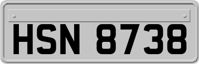HSN8738