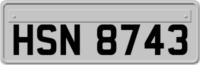HSN8743
