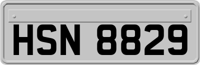 HSN8829