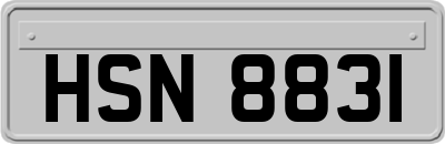 HSN8831