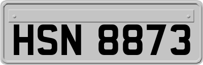 HSN8873