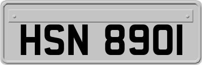 HSN8901