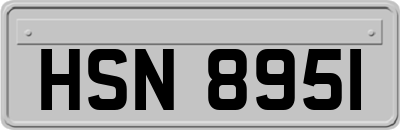 HSN8951