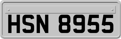 HSN8955