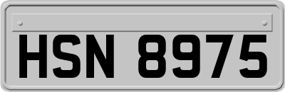 HSN8975