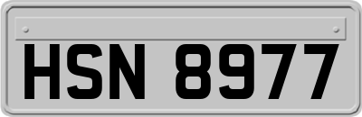 HSN8977